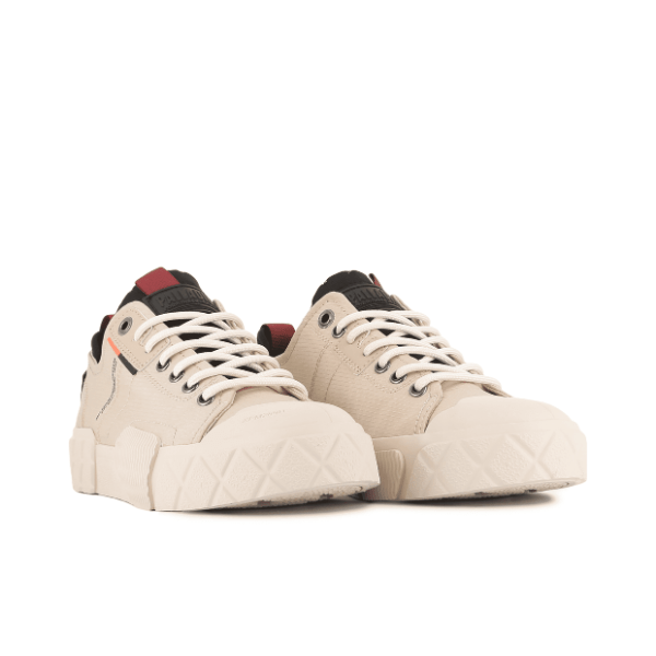 Ace City Shell - Warm Sand