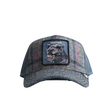 Front view of Goorin Bros Moon Panther Trucker Mesh Cap