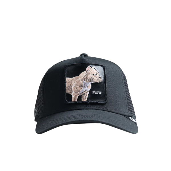 Goorin Bros The Flex Pitbull Black Trucker Cap Front view