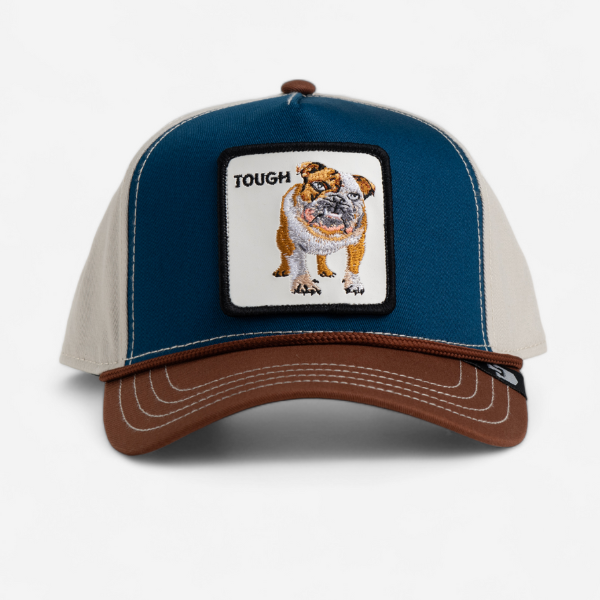 BULLY 100 CANVAS PEAK W24 - BROWN / BLUE / WHITE