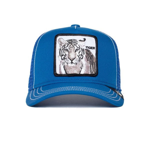 KIDS STRIPE EARNER - Blue