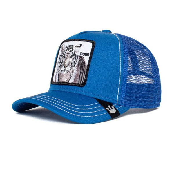 KIDS STRIPE EARNER - Blue