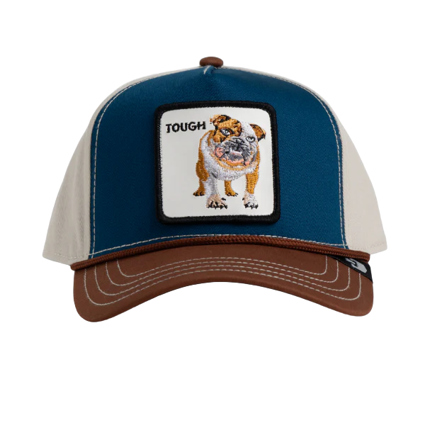 BULLY 100 CANVAS PEAK W24 - BROWN / BLUE / WHITE