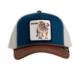 BULLY 100 CANVAS PEAK W24 - BROWN / BLUE / WHITE