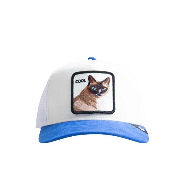 Cool Cat - Blue / White