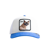 Cool Cat - Blue / White