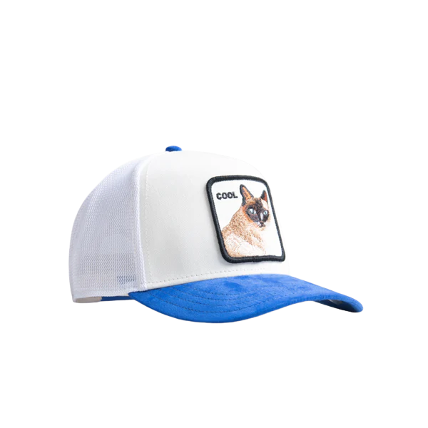 Cool Cat - Blue / White