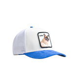 Cool Cat - Blue / White