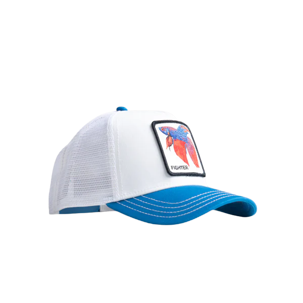 Fighter - White / Blue