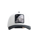 OG Tortoise - White / Black