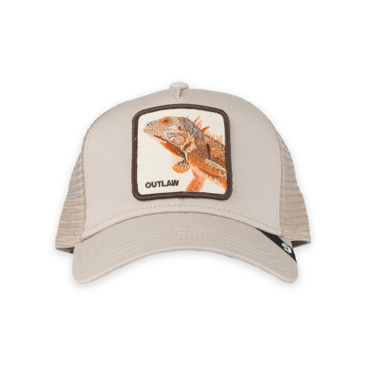 THE OUTLAW LIZARD