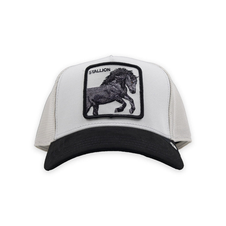 Digital Stallion