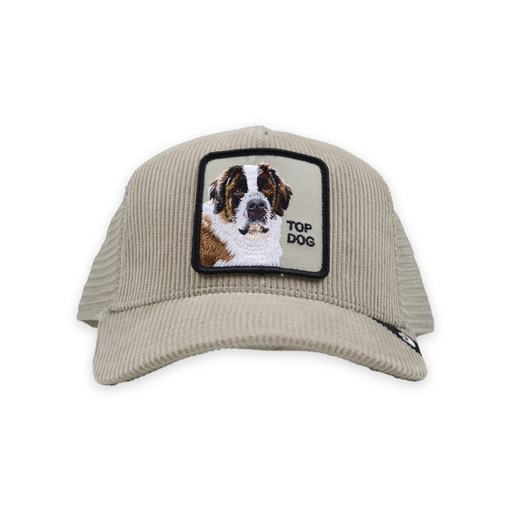Corduroy Top Dog