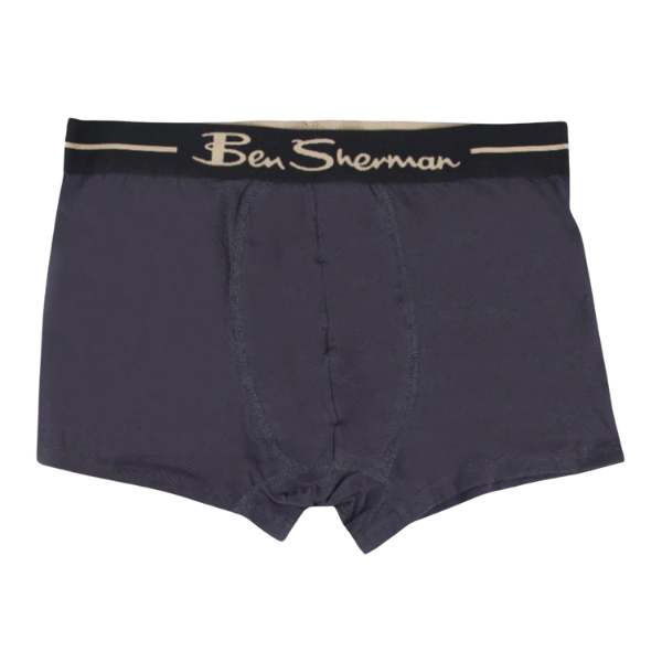 TRUNKS 3PK - GREY / SAND