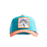 The Player - Blue / Orange