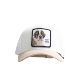 Front view of Goorin Bros Top Dog Suede Trucker Cap